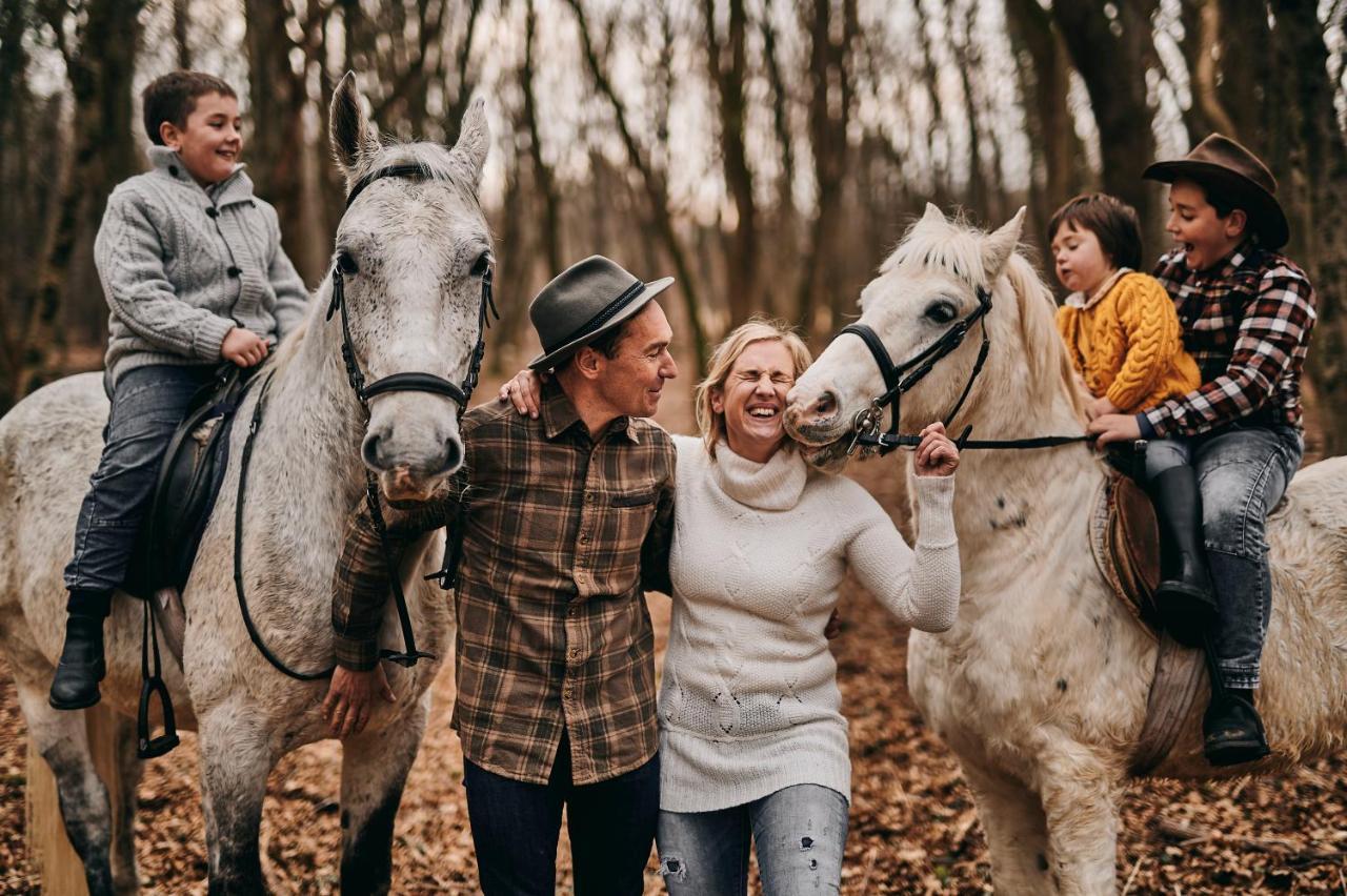 Tmbin'S Barn - Nature, Horses, Family Sezana Luaran gambar