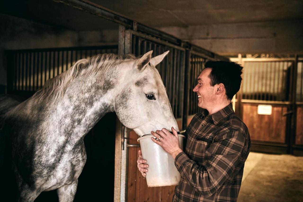 Tmbin'S Barn - Nature, Horses, Family Sezana Luaran gambar