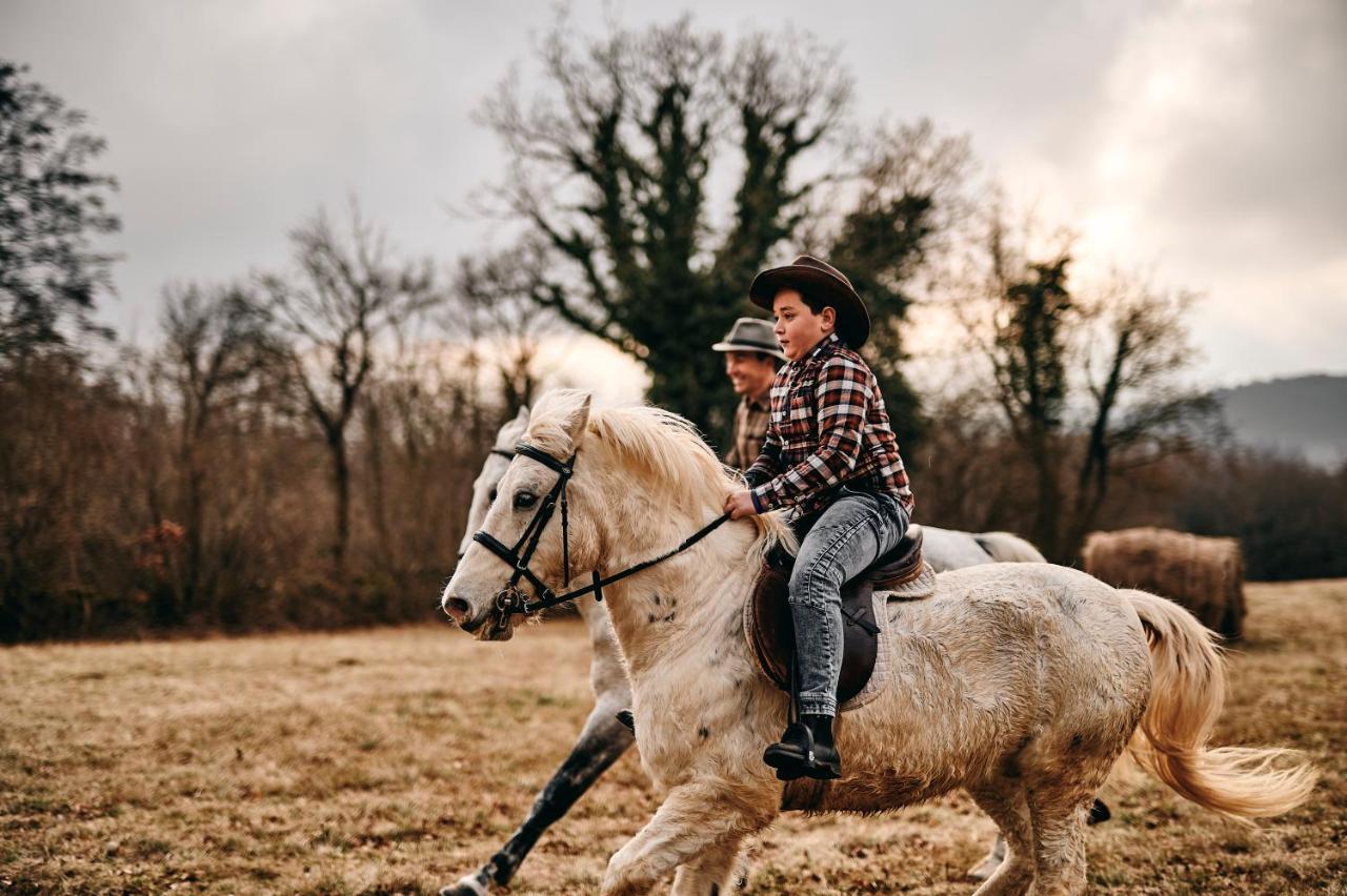 Tmbin'S Barn - Nature, Horses, Family Sezana Luaran gambar