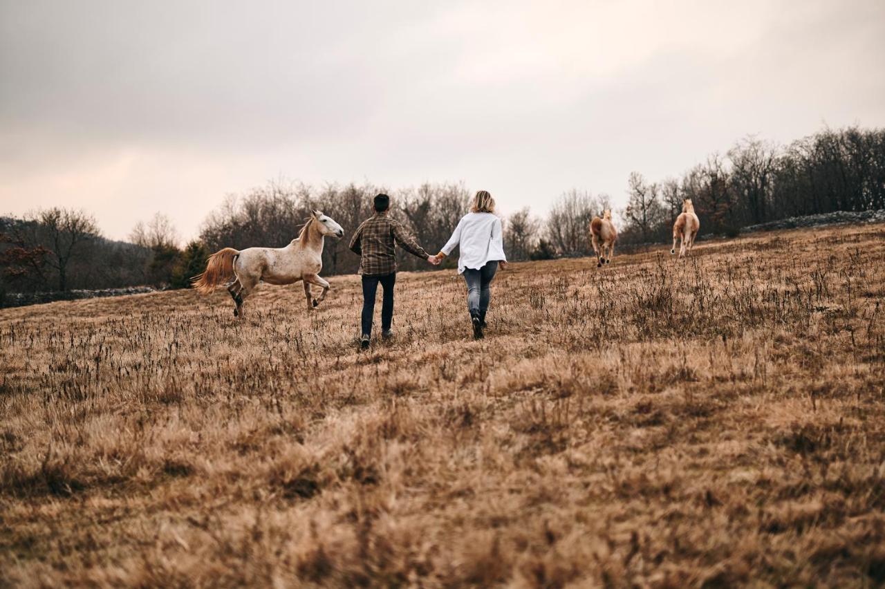 Tmbin'S Barn - Nature, Horses, Family Sezana Luaran gambar
