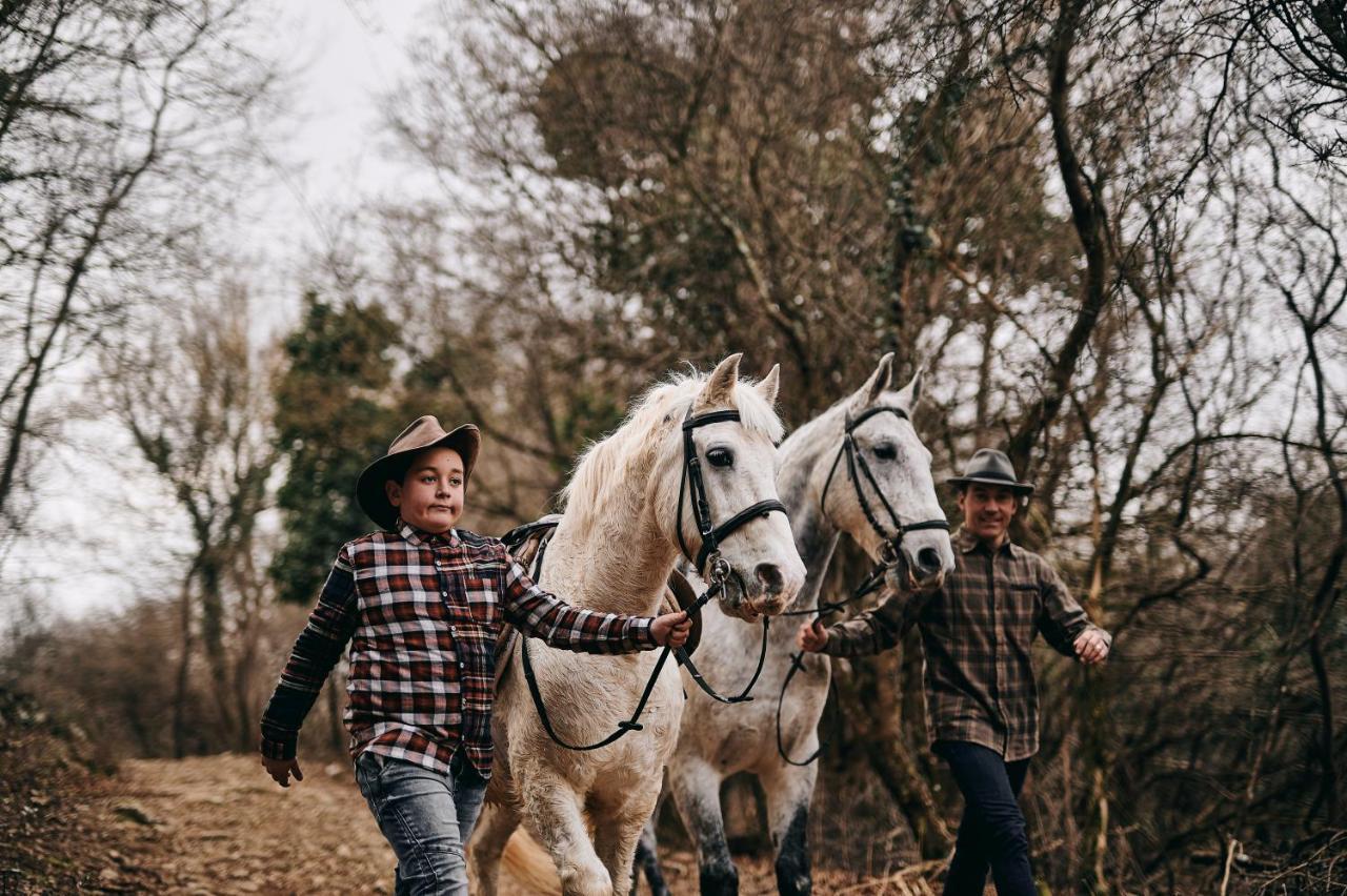 Tmbin'S Barn - Nature, Horses, Family Sezana Luaran gambar
