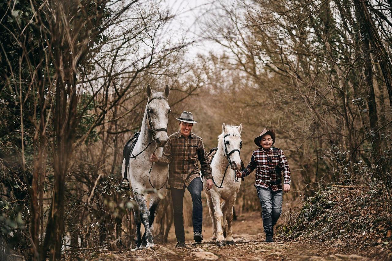 Tmbin'S Barn - Nature, Horses, Family Sezana Luaran gambar