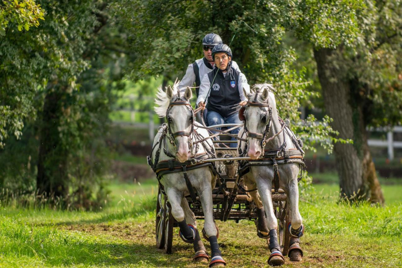 Tmbin'S Barn - Nature, Horses, Family Sezana Luaran gambar